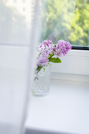 Purple flower in minimalistic scene, spring or summer timeの写真素材
