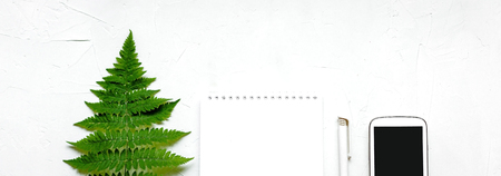 Green fern, white notebook, a pen, a telephone on white backgroundの写真素材