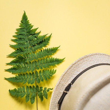 summer flat lay of a fern branch and some beach stuff on yellow paper backgroundの写真素材