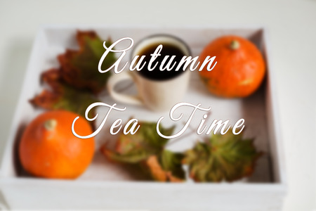 Cup of hot black tea and red pumpkins in the white wooden box with dry leaves. Halloween concept, autumn season. Top viewの写真素材