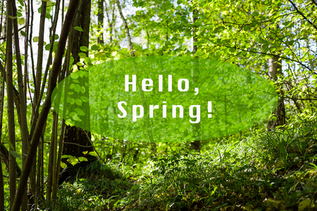 Green grass and trees in the park or wood. Hello, spring Text.