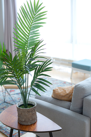 Home cosy interior. Some furniture in a room of cozy and bright style in daylight.の写真素材