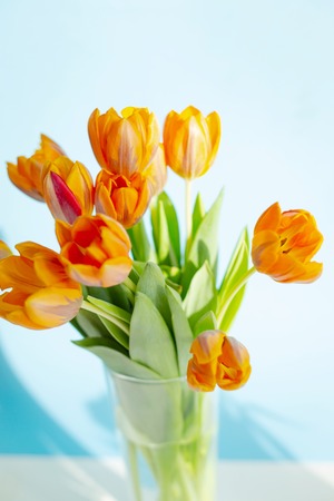 Spring orange tulips  in a vase near the window in the morning.の写真素材