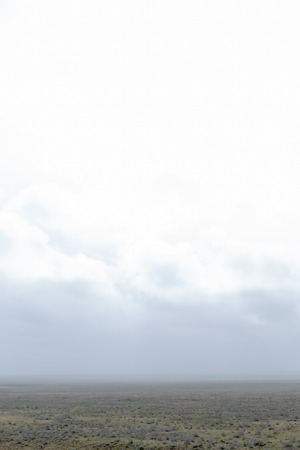 Landscape of wild Kalmyk steppe in a fog in spring early morning.の写真素材