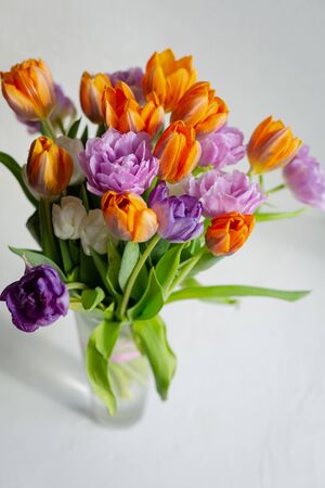 Bouquete of colorful spring tulips on white background in a sunny day. Purple, orange and white fresh flowers.の写真素材