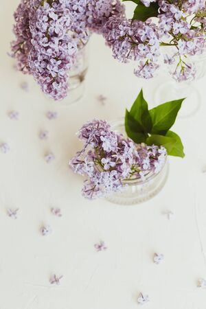 Purple spring lilac flowers still life on white background in the morningの写真素材