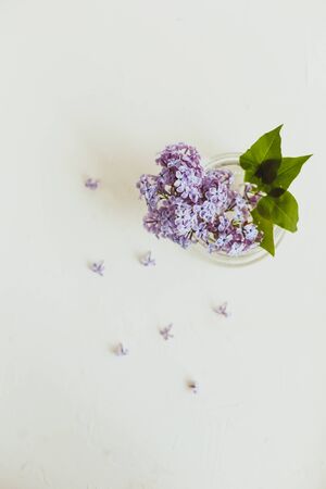 Purple spring lilac flowers still life on white background in the morning. Glass vase with water and purple lilac.の写真素材