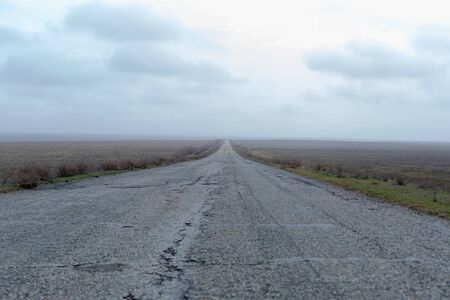 Wide old road in the foggy steppe in spring early morning.の写真素材