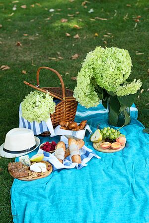 Summer picnic on the  blue plaid  in the morning. Some snacks, fresh grapes and cheece and bread are on the wooden plate.の写真素材