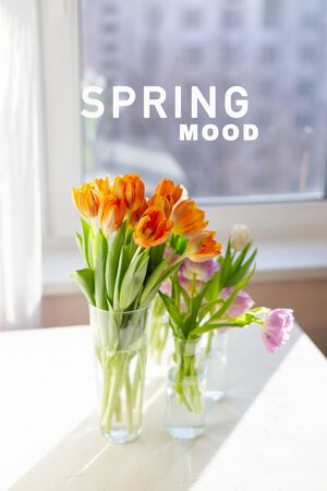 Two vases of spring orange tulips on the table near the window in the morning.の写真素材