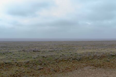 Landscape of wild Kalmyk steppe in a fog in spring early morning.の写真素材