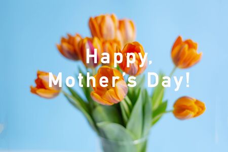 Spring orange tulips in a vase on blue background. Horizontal view.の写真素材