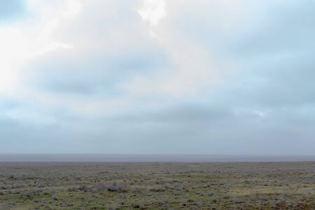 Landscape of wild Kalmyk steppe in a fog in spring early morning.の写真素材