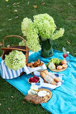 Summer picnic on the  blue plaid  in the morning. Some snacks, fresh grapes and cheece and bread are on the wooden plate.の写真素材