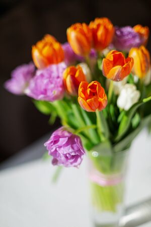 Bouquete of colorful spring tulips on white background in a sunny day. Purple, orange and white fresh flowers.の写真素材