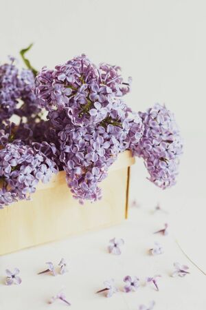 Purple spring lilac flowers still life on white background in the morning. Purple lilac in a wooden box.の写真素材