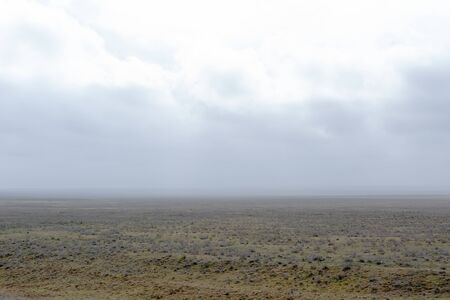 Landscape of wild Kalmyk steppe in a fog in spring early morning.の写真素材