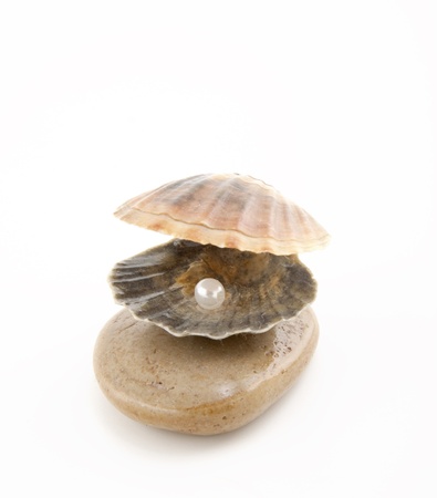 Shell with a pearlの写真素材