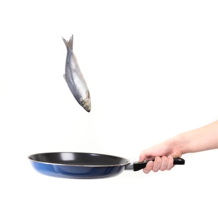 fish motion in penの写真素材