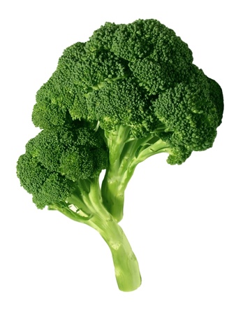 Fresh broccoli, isolated on whiteの写真素材