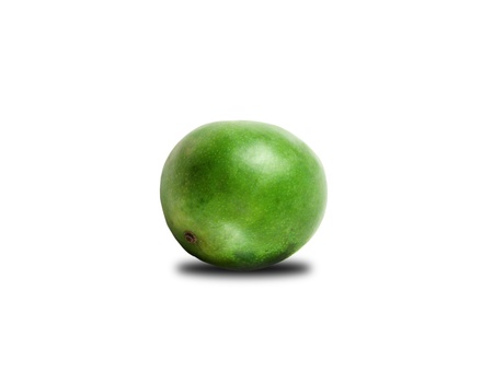 Food Related: Whole Green Mango isolated on whiteの写真素材