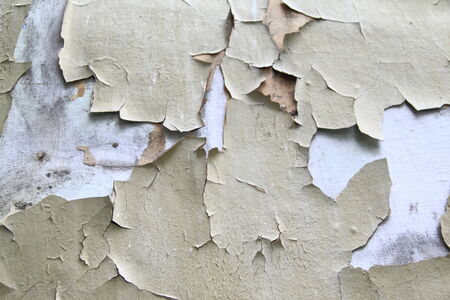 Old paint peeling from wall background or textureの写真素材