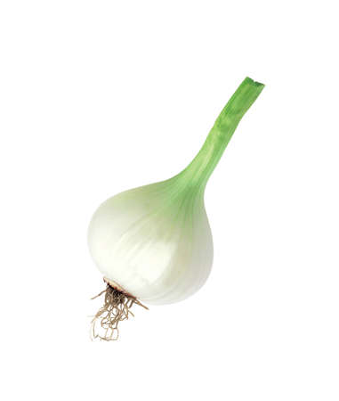 Green Onionの写真素材