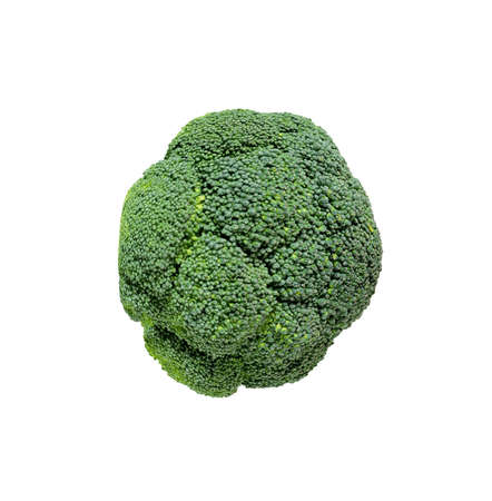 Broccoliの写真素材