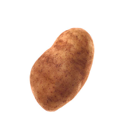 potato isolated on white background close upの写真素材