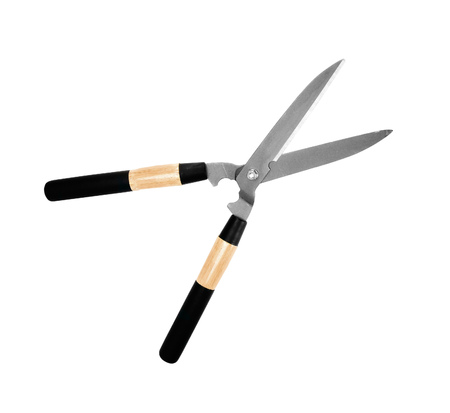 garden scissors isolated on whiteの写真素材