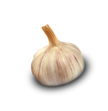 Garlic isolated on white background.の写真素材