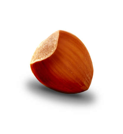 Nuts isolatedの写真素材