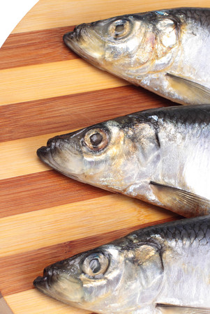 fish close upの写真素材