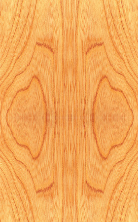 Texture of wood pattern backgroundの写真素材