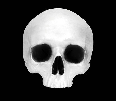 Front view of a fake skullの写真素材