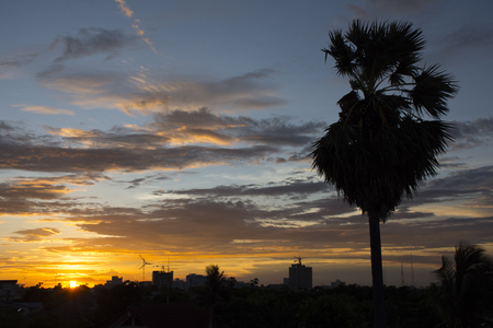 Silhouette abstract town and sugar plam with twilight sky, Nature conceptの写真素材