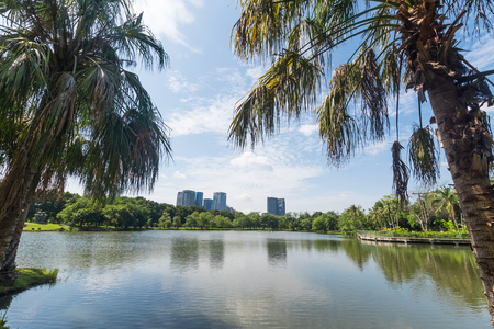 Public park in the big city.  Place and outdoors concept. Nature and landscape theme. Bangkok Thailand location.の写真素材