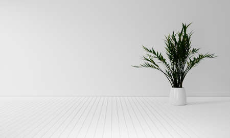Houseplant with copy space on white wooden floor background. Interior and Nature decoration concept. 3D illustration renderingの写真素材