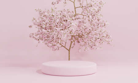 Minimal style cylinder pink product podium showcase with cherry blossom tree or "Sakura" in Japanese language at public garden. Technology and object concept. 3D illustration renderingの写真素材