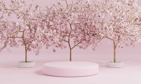 Minimal style cylinder pink product podium showcase with cherry blossom tree or "Sakura" in Japanese language at public garden. Technology and object concept. 3D illustration renderingの写真素材