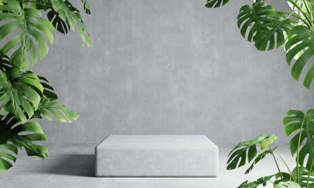 One rectangle podium in grey loft color background with Monstera plant foreground. Abstract...