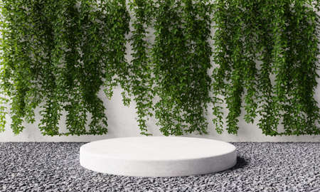 Round cylinder product stone podium in backyard garden with vine Virginia creeper on white concrete wall background. Exterior nature and architecture concept. 3D illustration renderingの写真素材