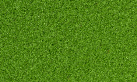 Top view of fresh green grassy background. Nature and wallpaper concept. 3D illustration renderingの写真素材