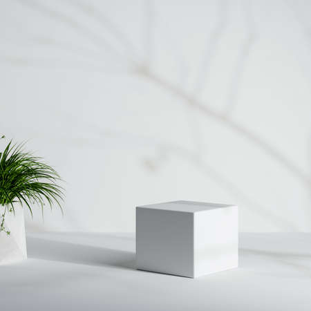 White minimal product podium with houseplant and tree trunk and leaves shadow background. 3D illustration renderingの写真素材