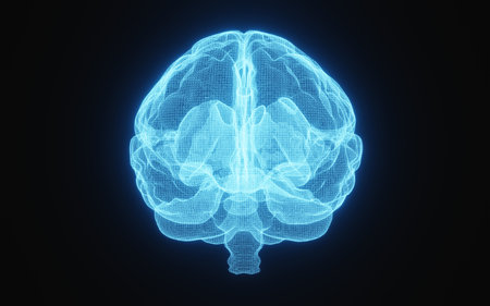 Glowing X-ray image of human brain in blue wireframe on isolated black background. Science and medical concept. In front of brain. 3D illustration renderingの写真素材