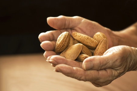 Food of the earth - hands holding raw almonds in palm.の写真素材