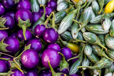 Colorful eggplantsの写真素材
