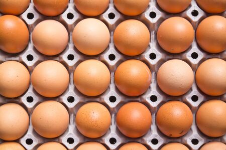 Chicken brown egg closeup 