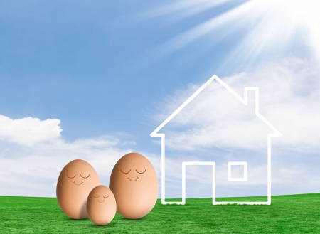 Eggs and a house in fieldの写真素材