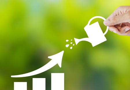 Concept of growing company with paper plantの写真素材